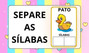Separe as sílabas 2 ano