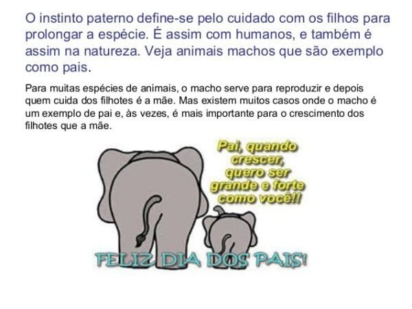 Os Pais do Reino Animal