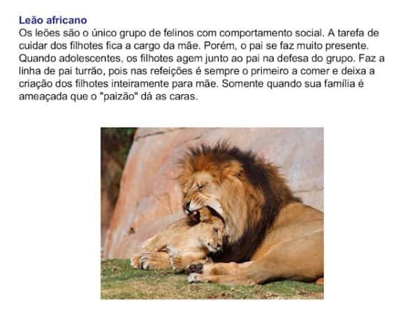 Os Pais do Reino Animal