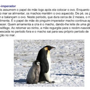 Os Pais do Reino Animal